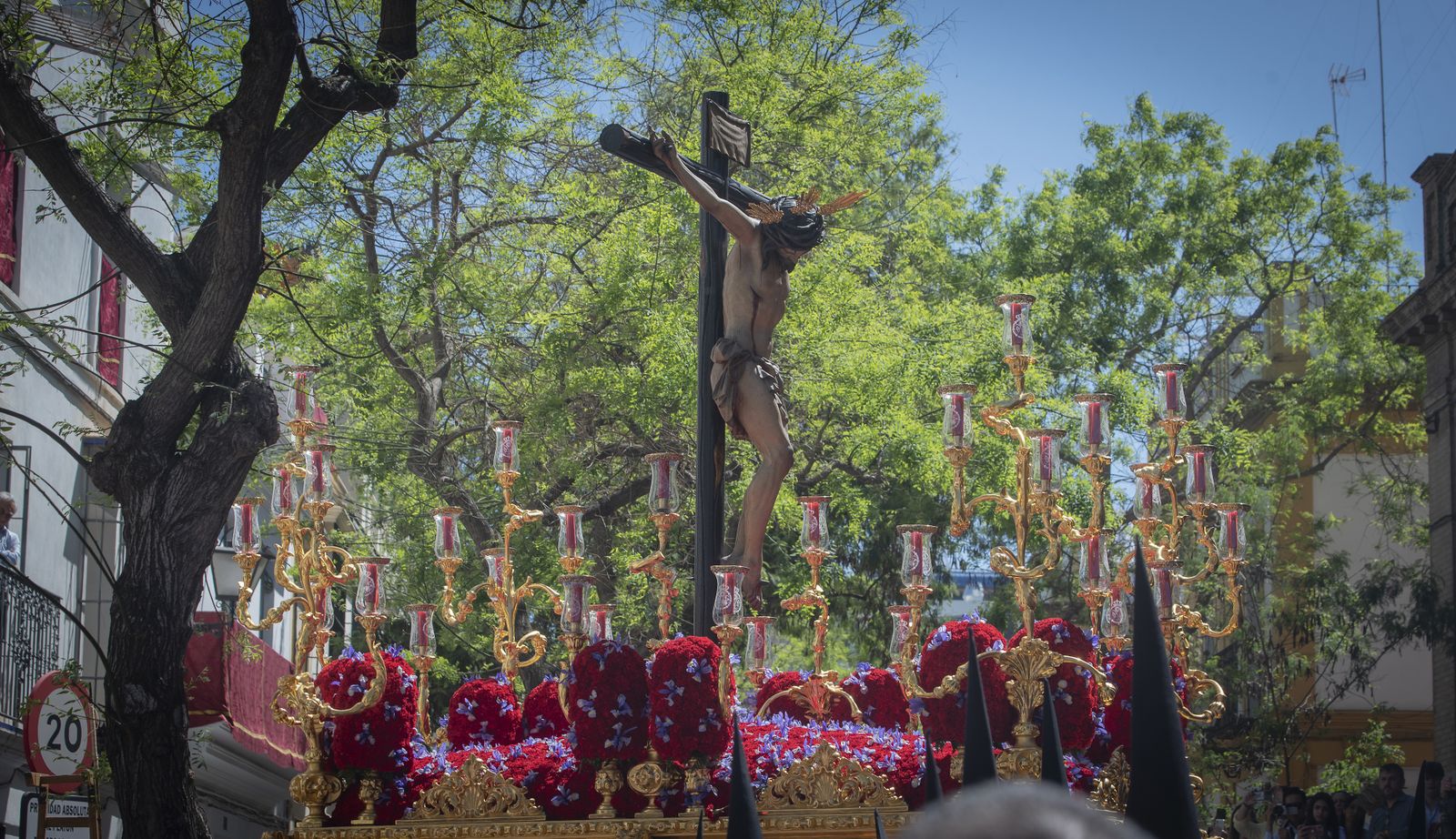La Hermandad de San Bernardo, en imágenes