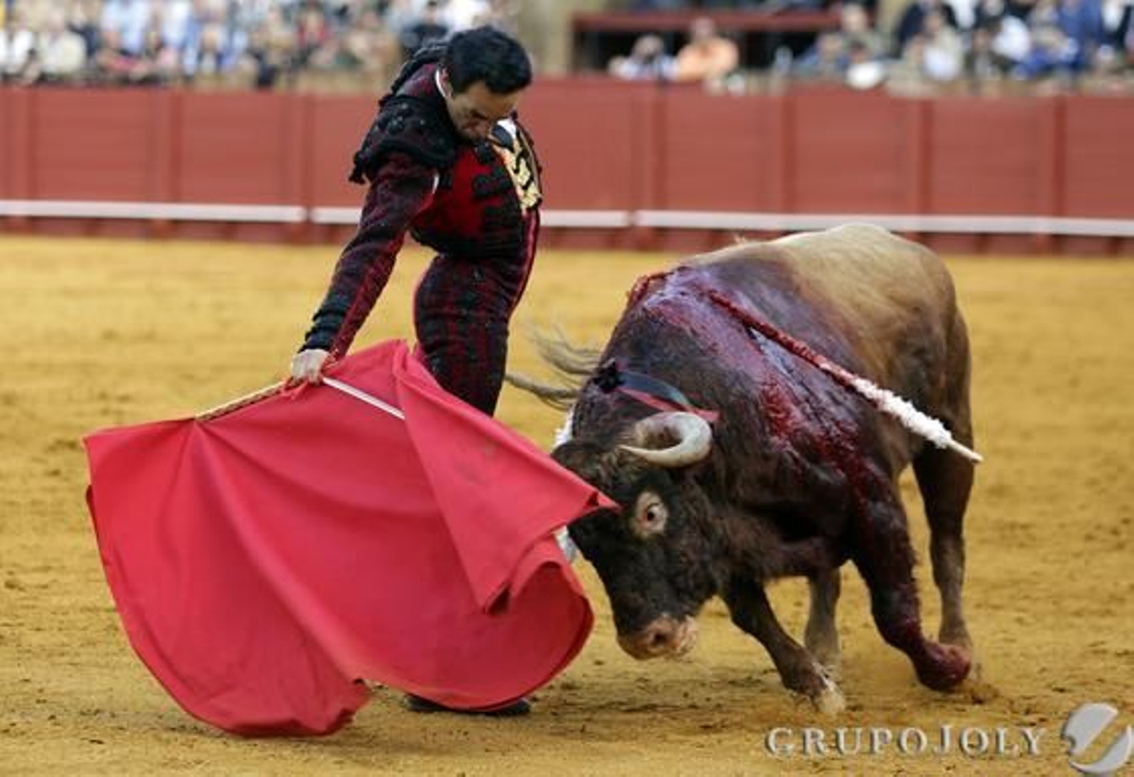 Miguel Abellán. / Juan Carlos Muñoz
