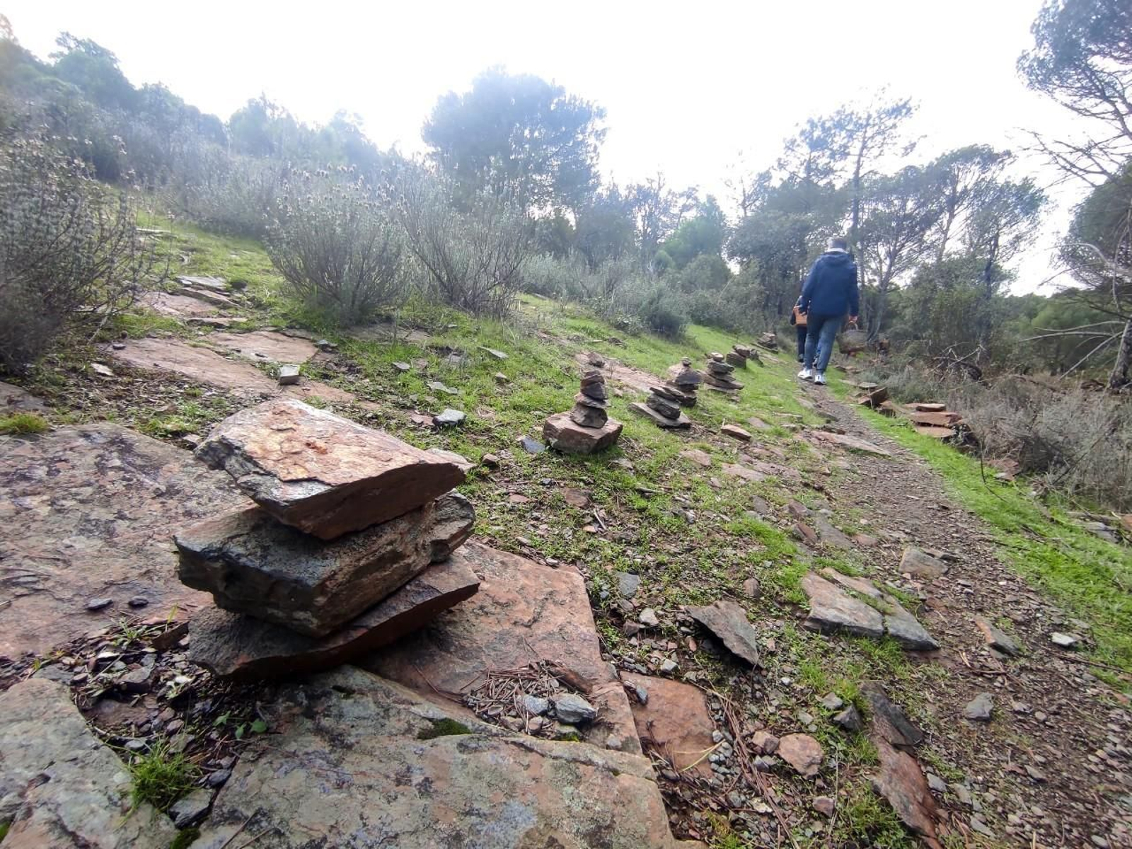 Ruta senderista para recolectar hasta diez tipos de setas diferentes en Despeñaperros