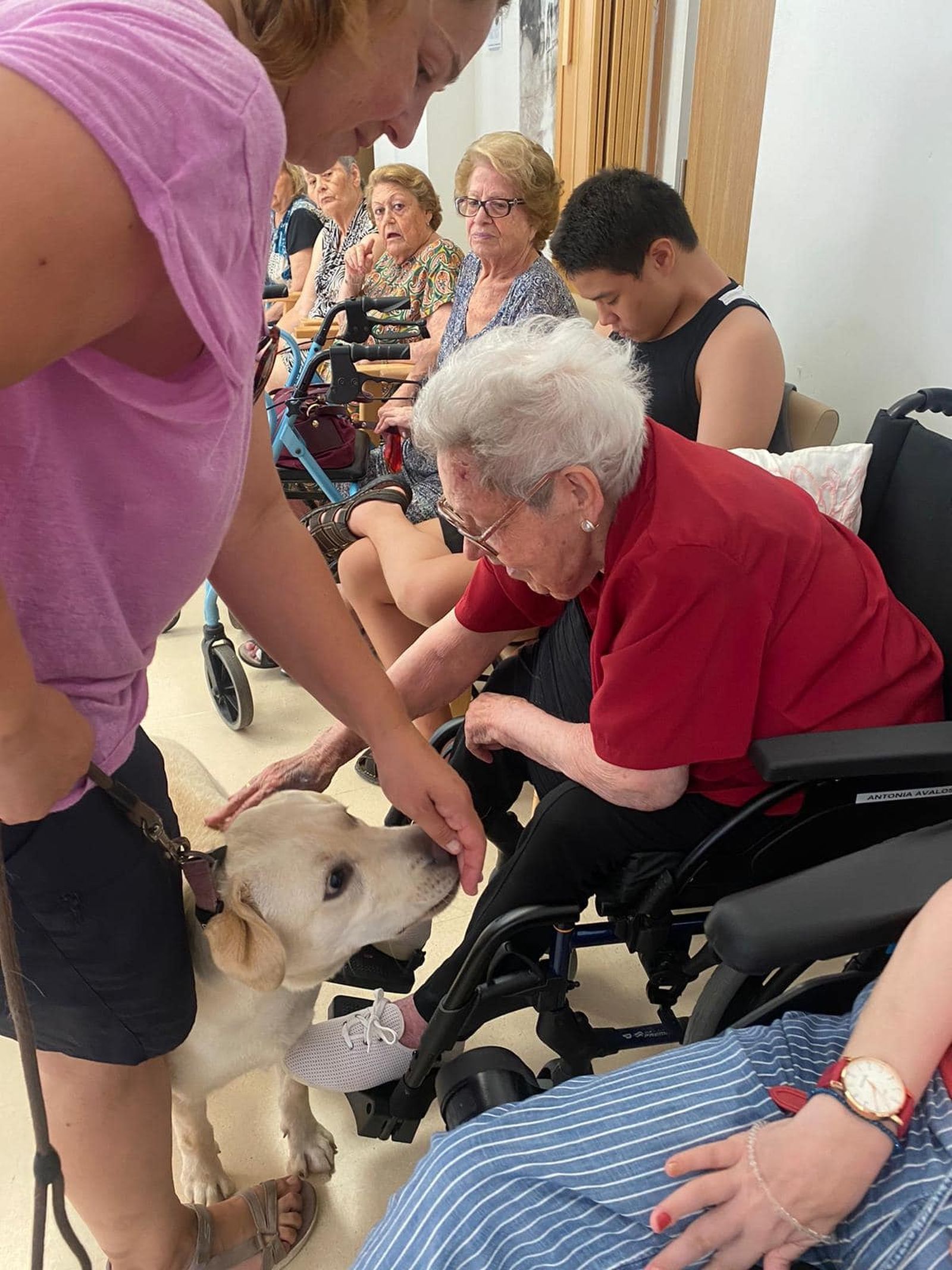 Exhibición canina para los mayores de le Residencia El Zapillo y para los niños y niñas de la escuela de verano de la Asociación de Personas con Discapacidad de Almería ANDA