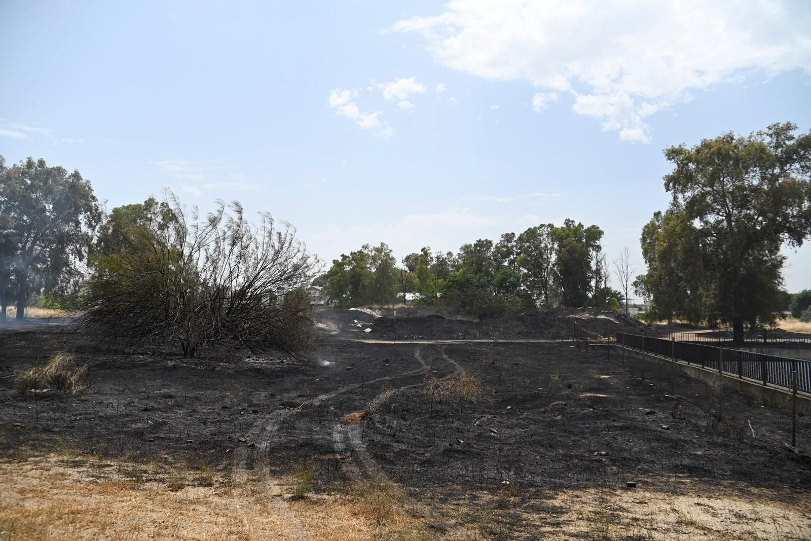 La zona calcinada por el incendio junto a la ronda Oeste, en imágenes