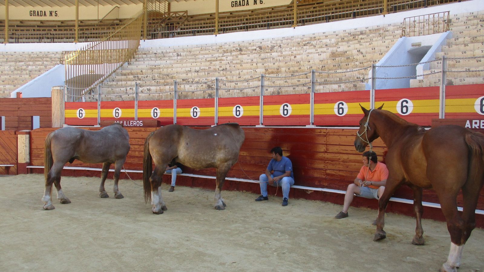 Los caballos, sobre el albero de la plaza.