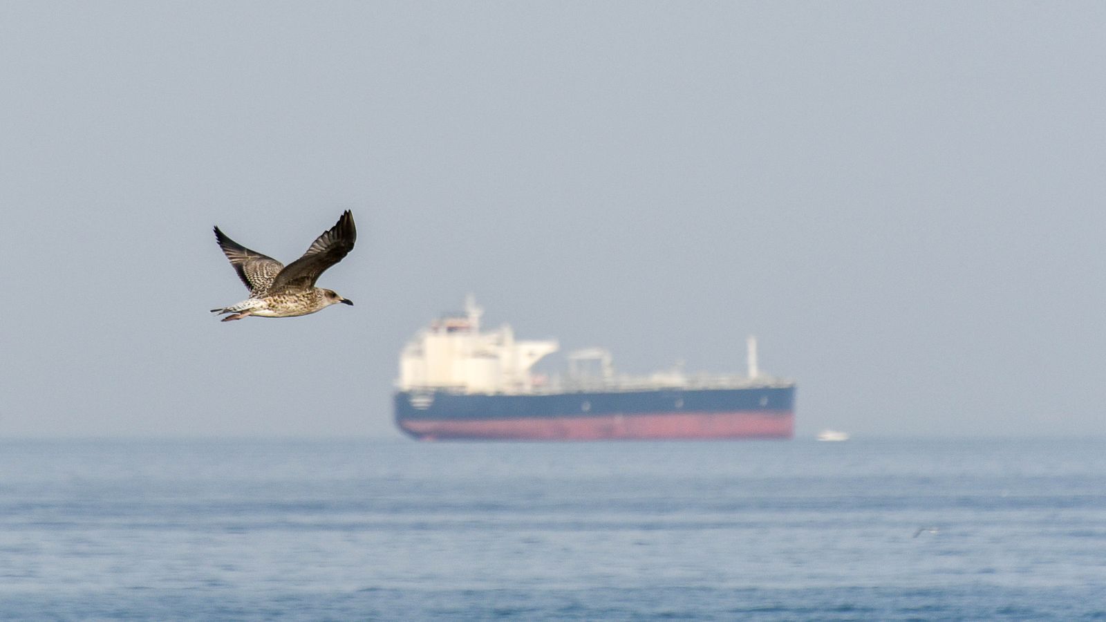 Las fotos de la tarde de playa en familia en La Línea