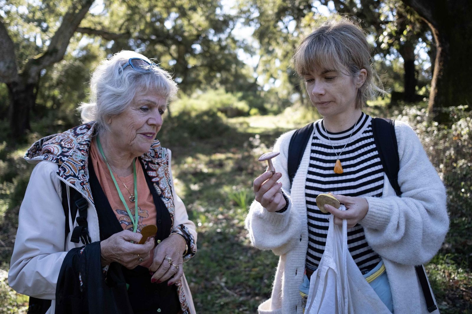 Jornadas micológicas de Cortes de la Frontera, en fotos