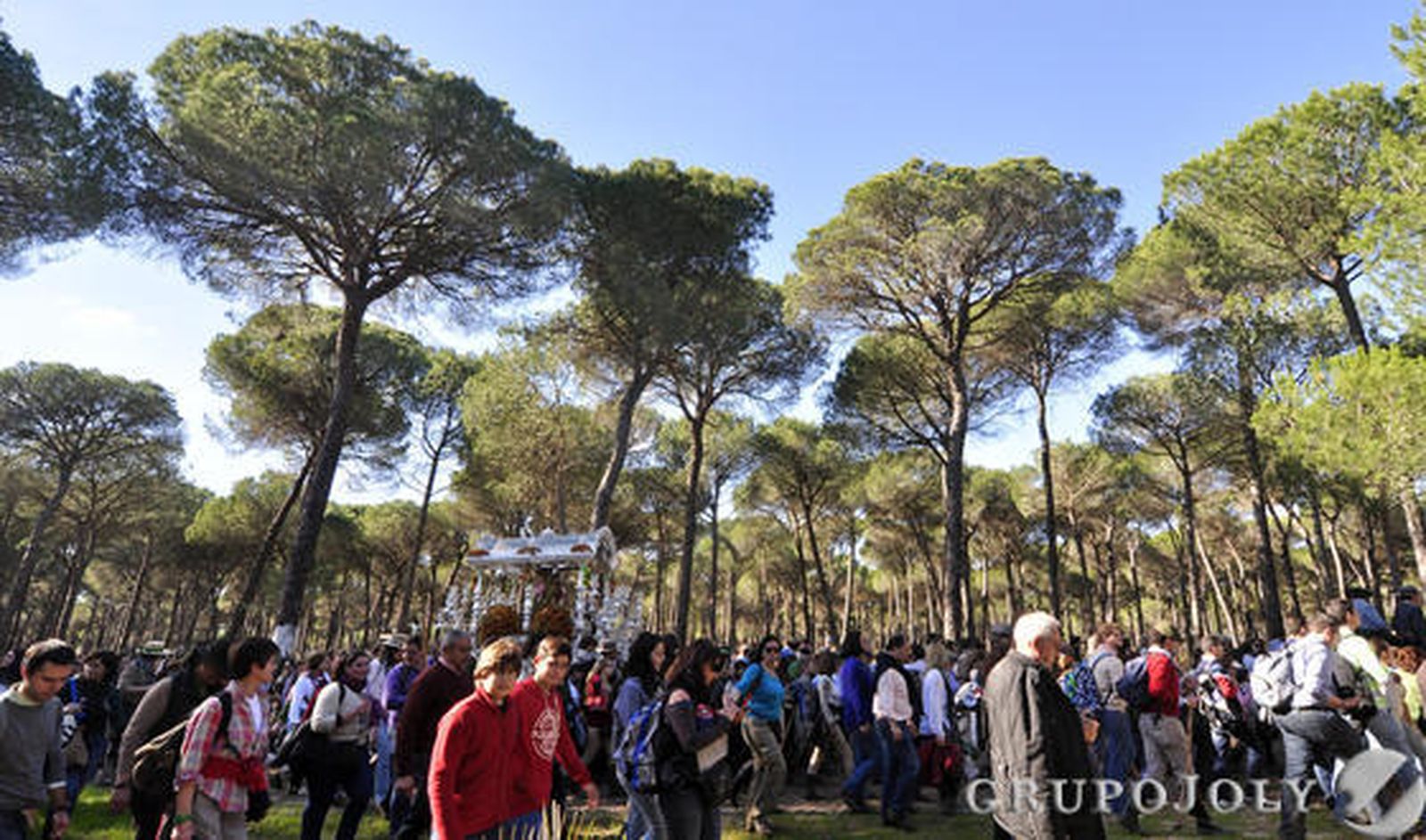Peregrinación extraordinaria de la Hermandad del Rocío de Triana a Almonte. / Manuel Gómez