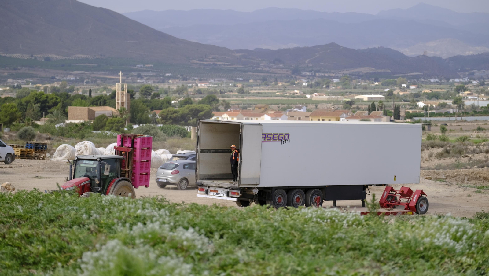 La sandía y el melón de Huércal Overa, manjares en imágenes