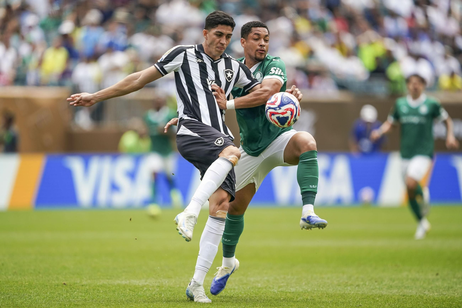 Palmeiras-Botafogo (3).jpg