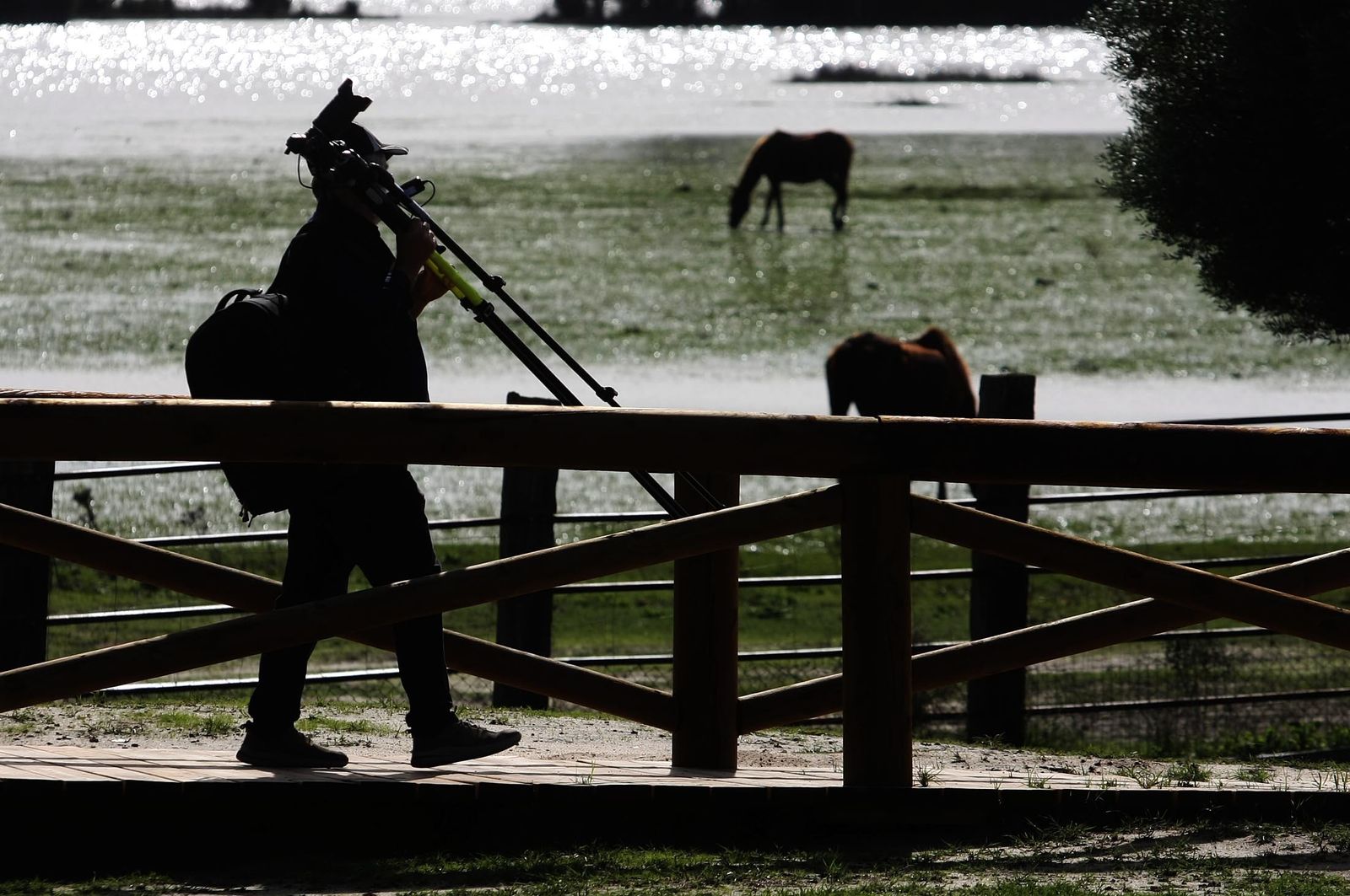 Imágenes del sábado 18 de noviembre en Huelva