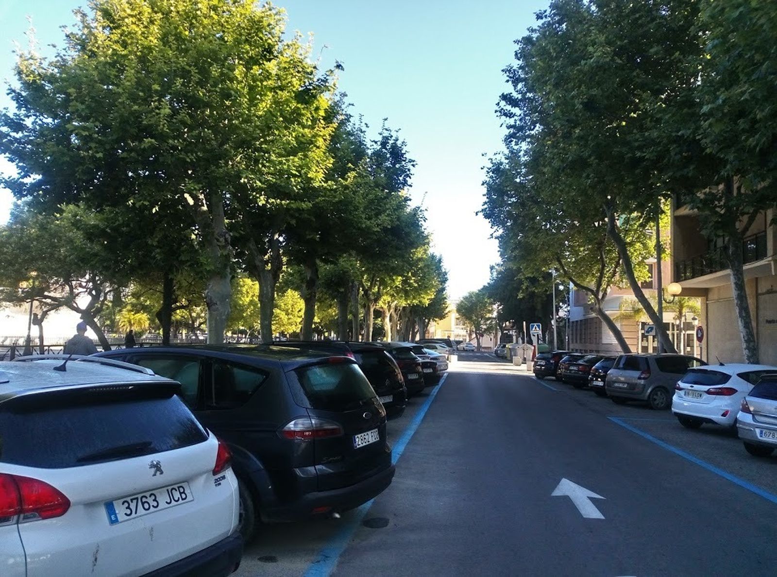 Plátanos de sombra en el perímetro de la Plaza de España.