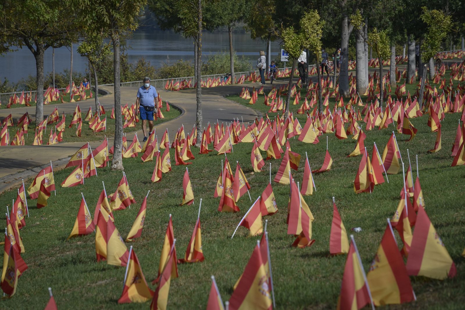 Víctimas del Coronavirus: 53.000 banderas de España junto al río