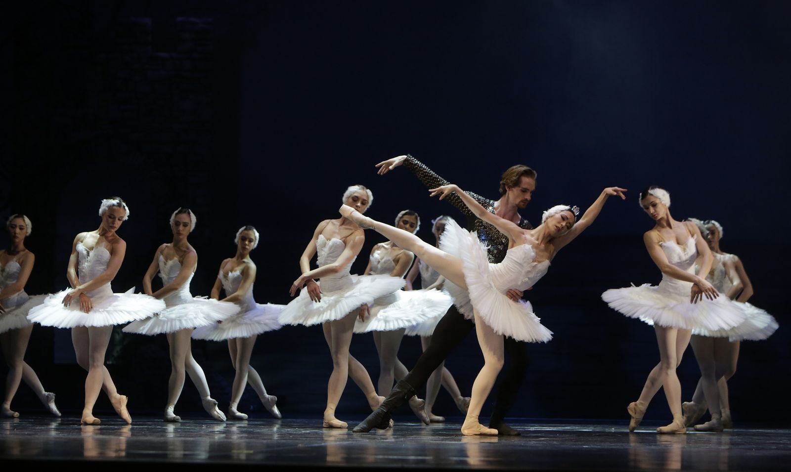 EL LAGO DE LOS CISNES