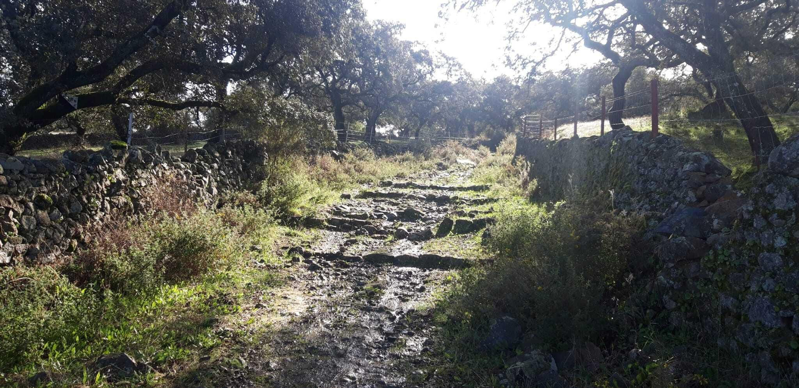 El punto más alto está a unos 550 metros.