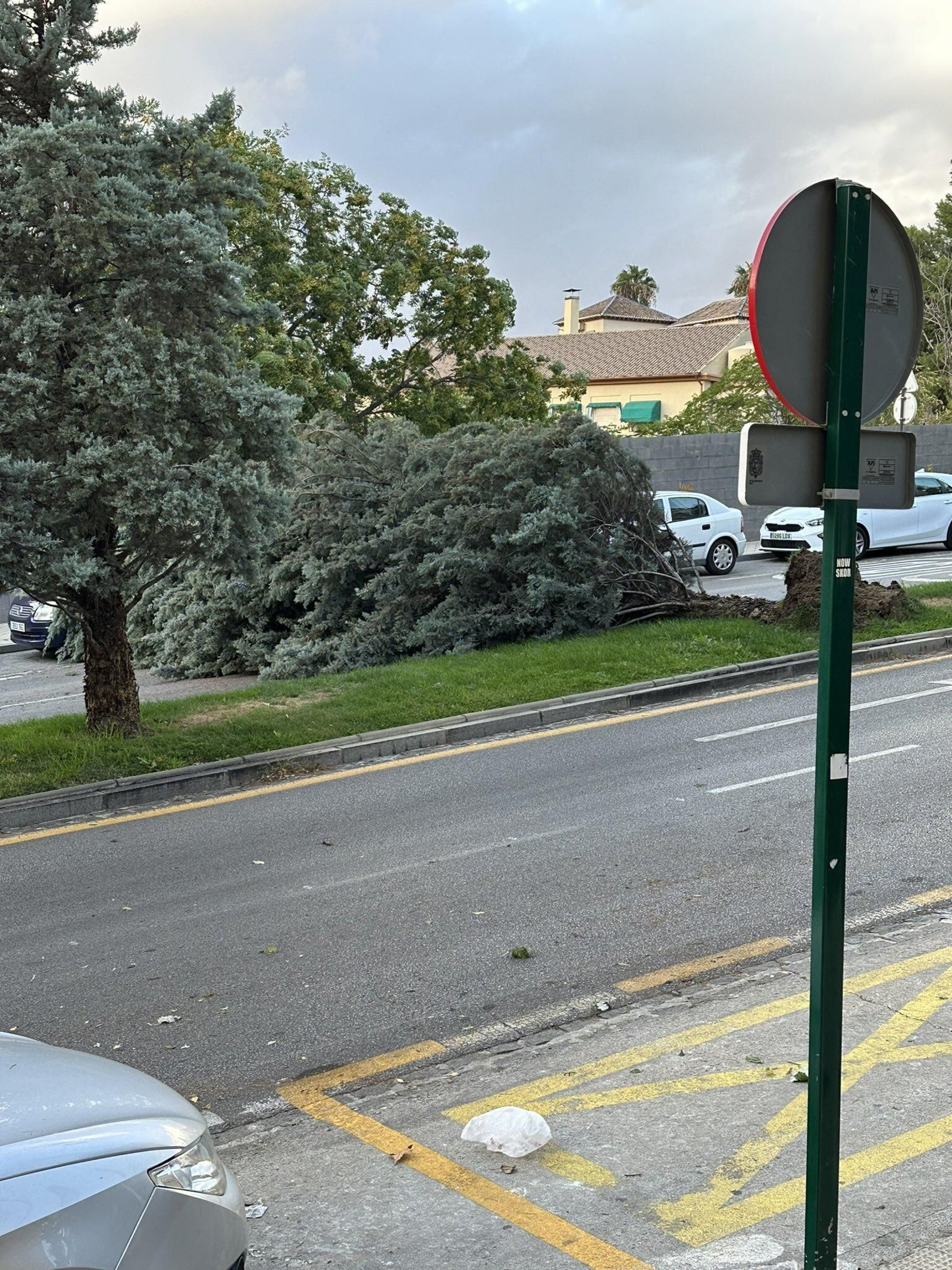 Fotos: así está siendo el fuerte viento de la borrasca Bernard en Granada