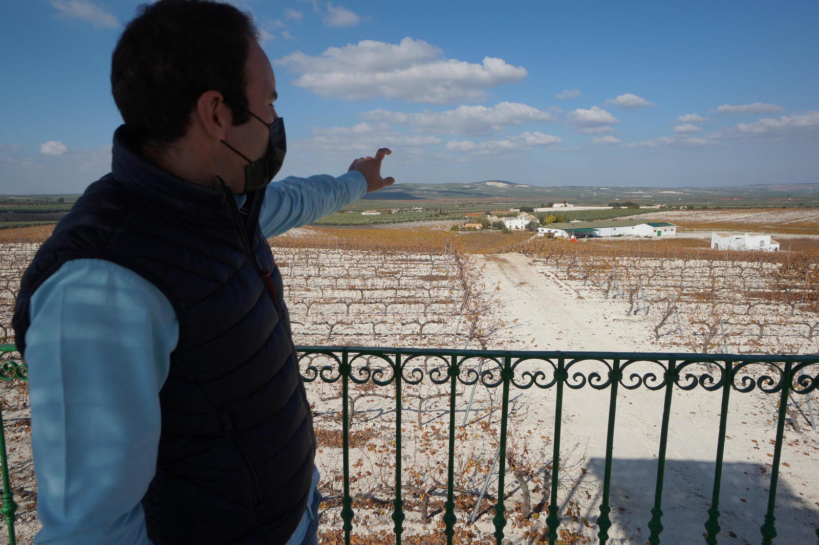 Un recorrido en fotografías por el vino nuevo de Moriles