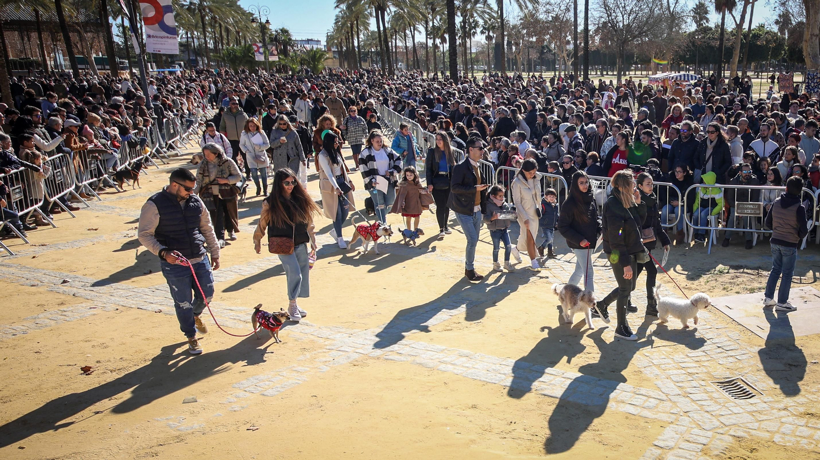 Búscate en San Antón de Jerez