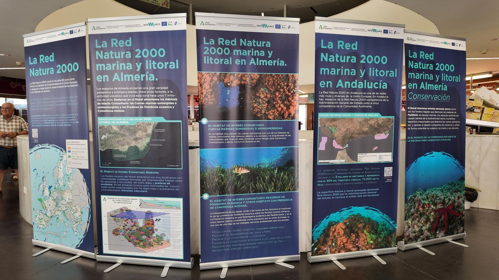 Algunos de los paneles informativos instalados en el Mercado de Abastos ejidense.