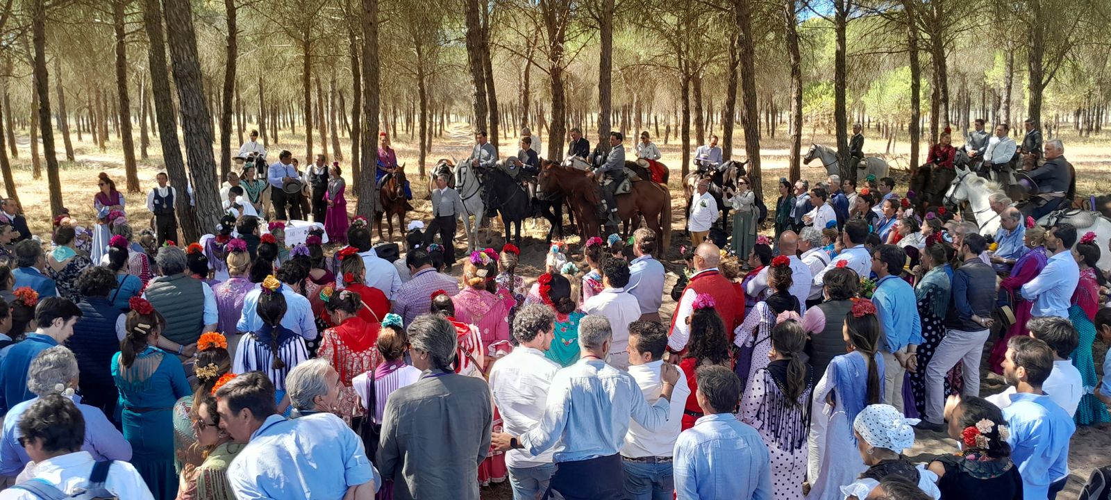 Imágenes de la llegada a la Aldea y presentación de la Hermandad del Rocío de Jerez