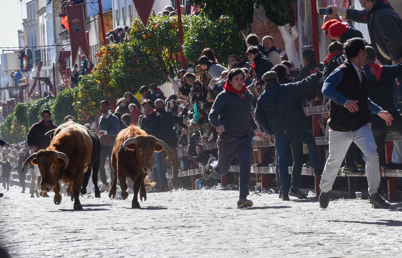Las imágenes de los festejos de San Sebastián en La Puebla del Río 2026