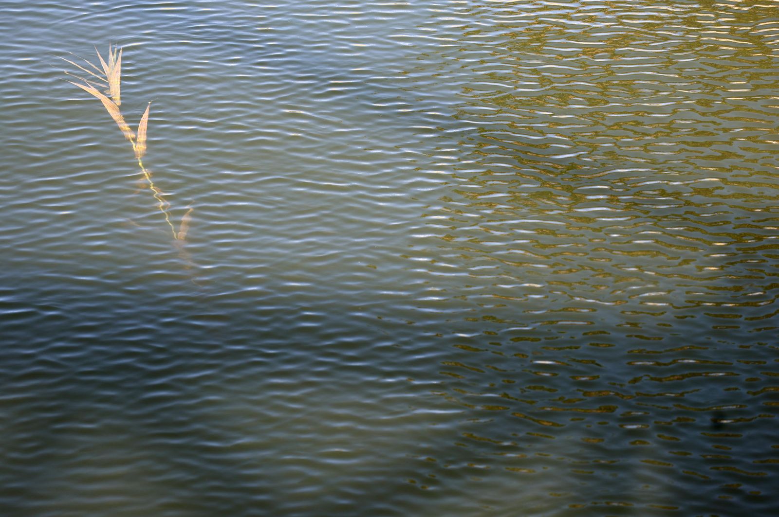 Imágenes del sábado 23 de noviembre en Huelva