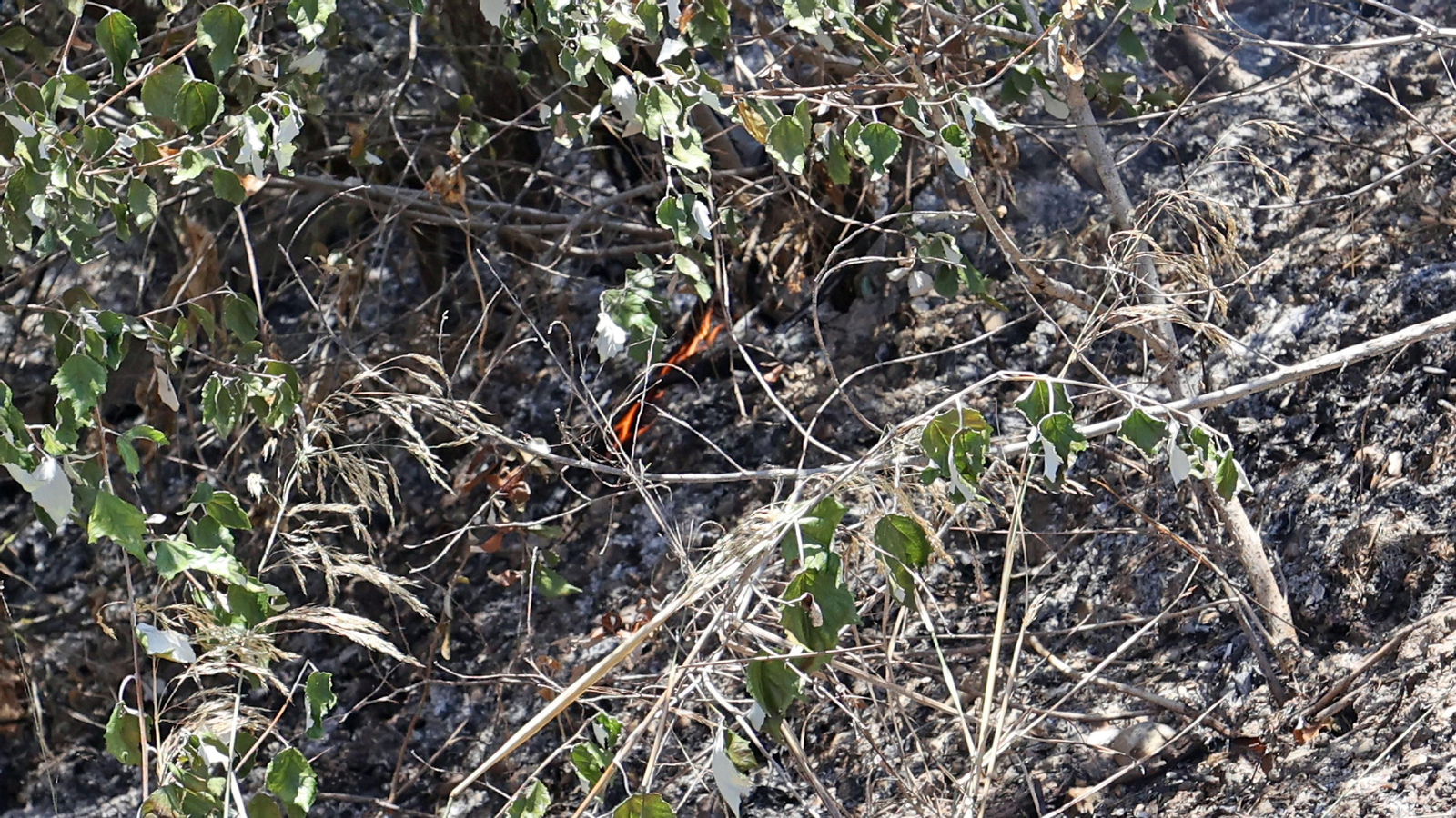 Infoca refresca la zona del incendio en La Ina