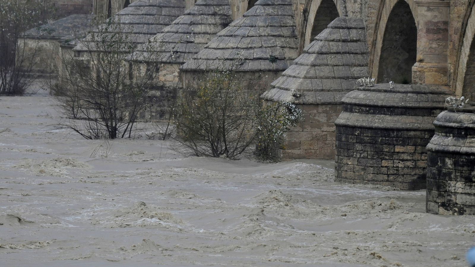 Las impactantes imágenes de la crecida del río Guadalquivir a su paso por Córdoba