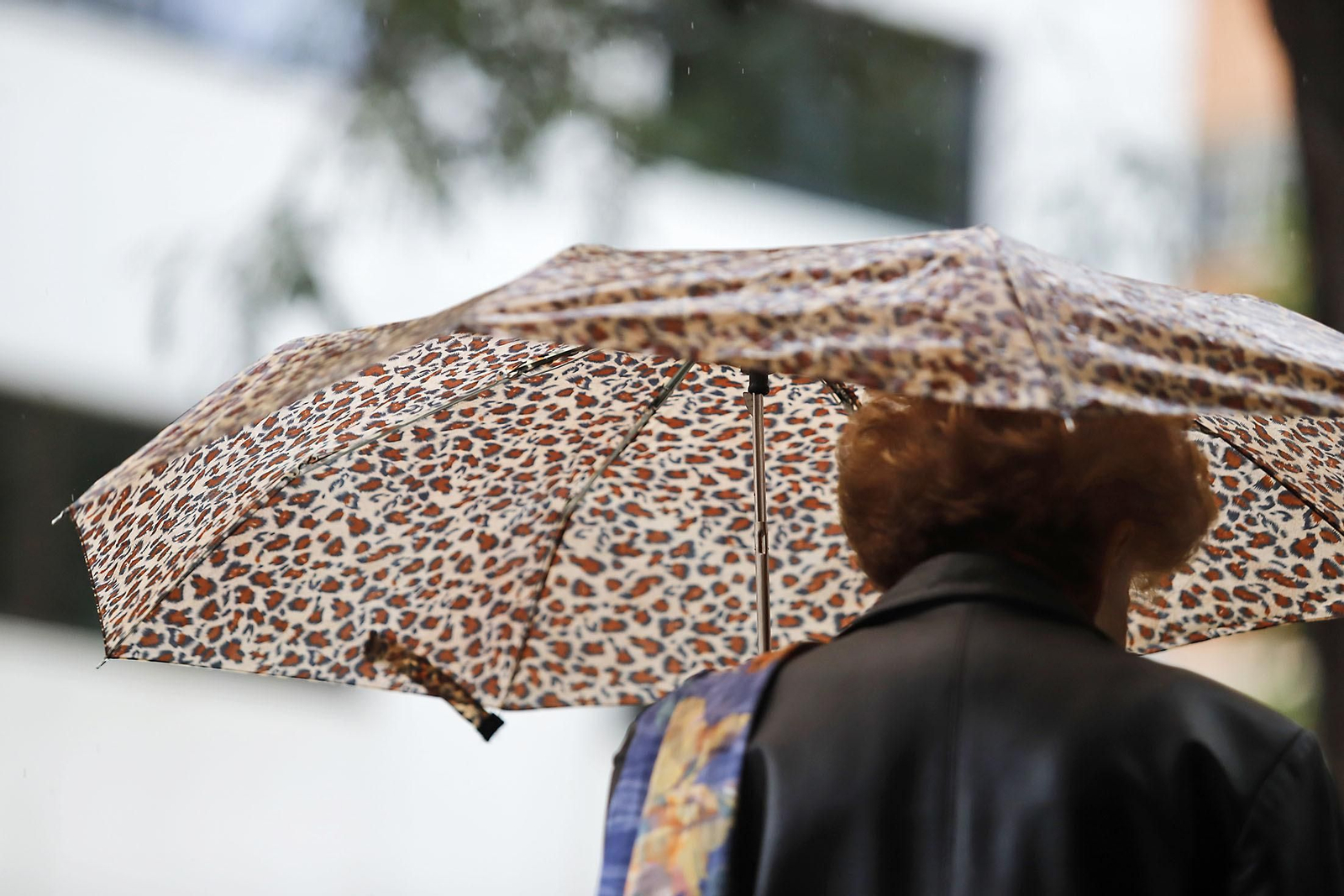 Imágenes de la mañana lluviosa de domingo en Huelva
