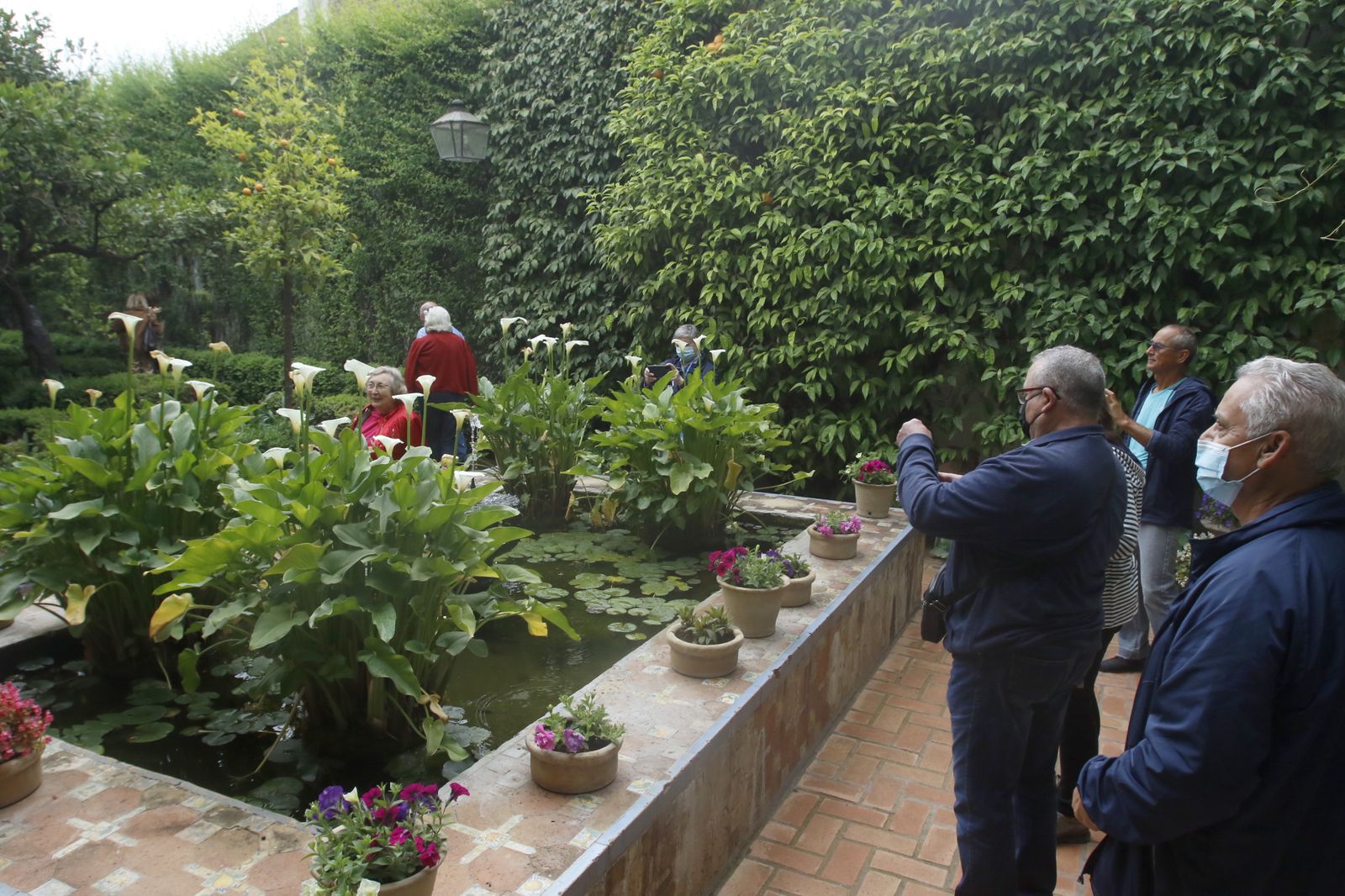 La jornada de puertas abiertas del Palacio de Viana, en imágenes