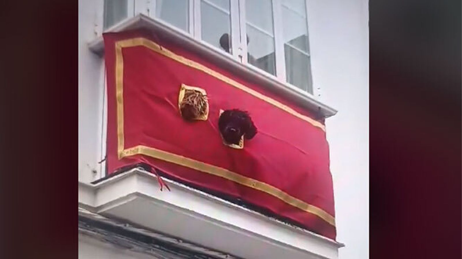 Dos perritos, durante la Semana Santa de Sanlúcar.