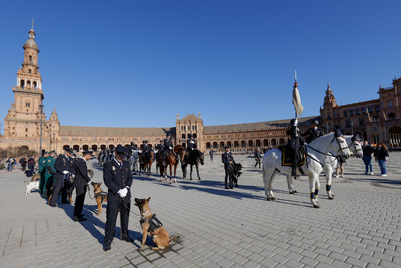 Las imágenes de la celebración del día de San Antón por la Policía Nacional en la plaza de España