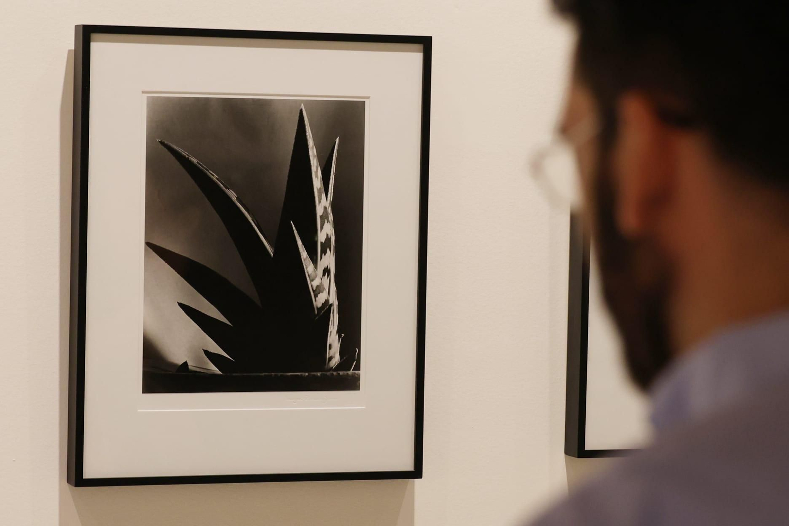 Cuadros de la nueva exposición del Museo Carmen Thyssen de Málaga