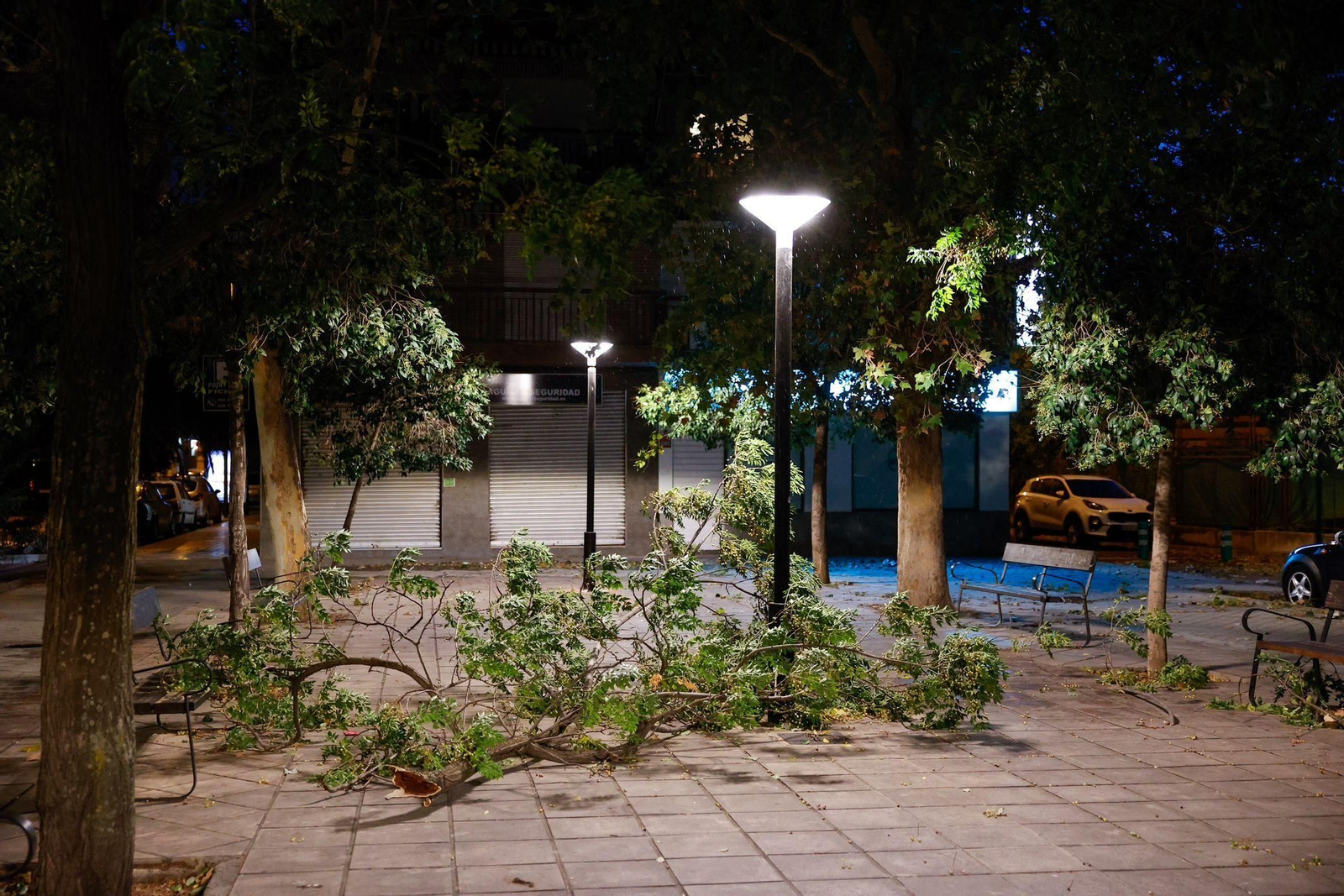 Fotos: así está siendo el fuerte viento de la borrasca Bernard en Granada
