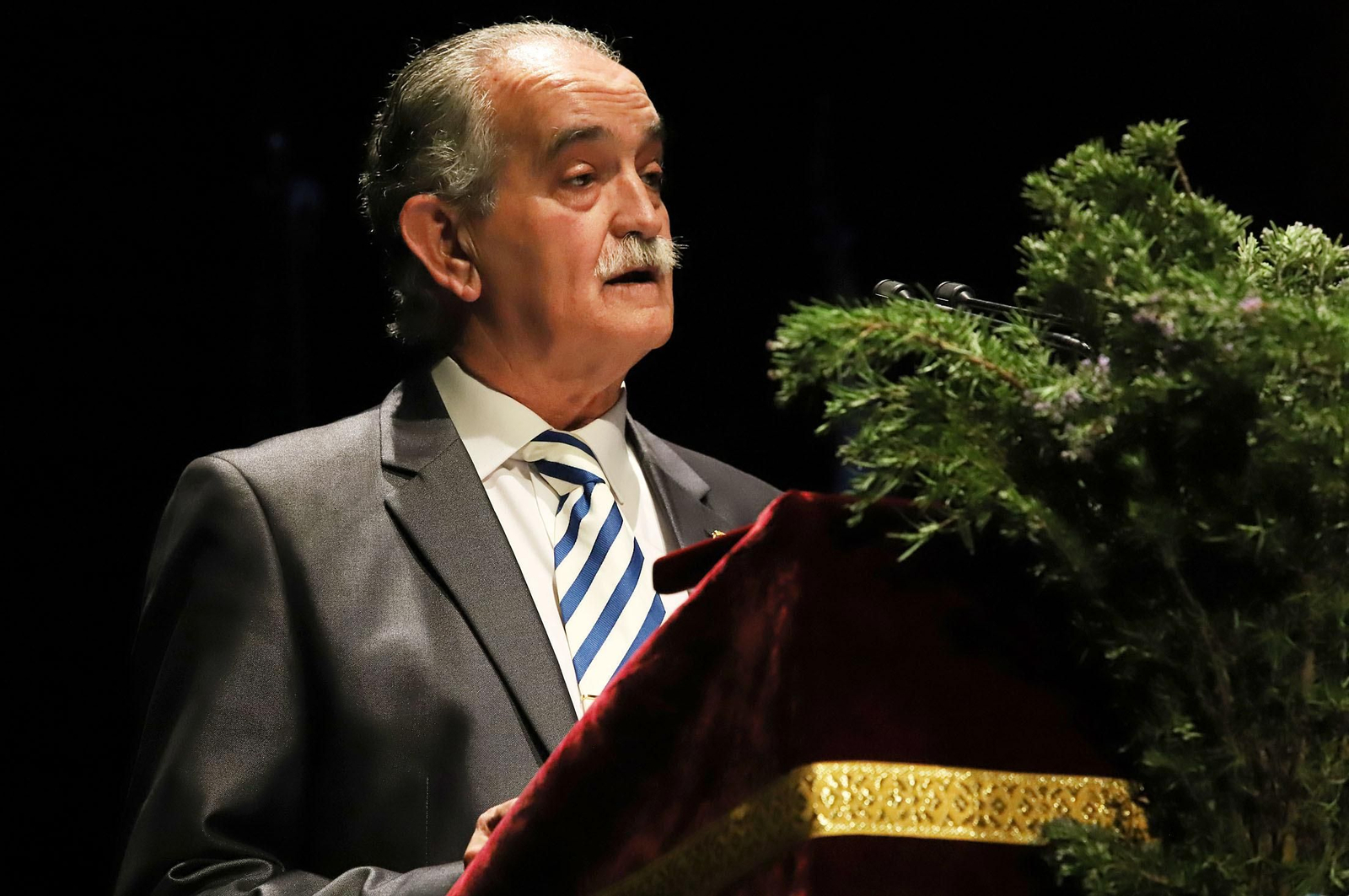 Imágenes del pregón de San Sebastián pronunciado por Manuel Correa