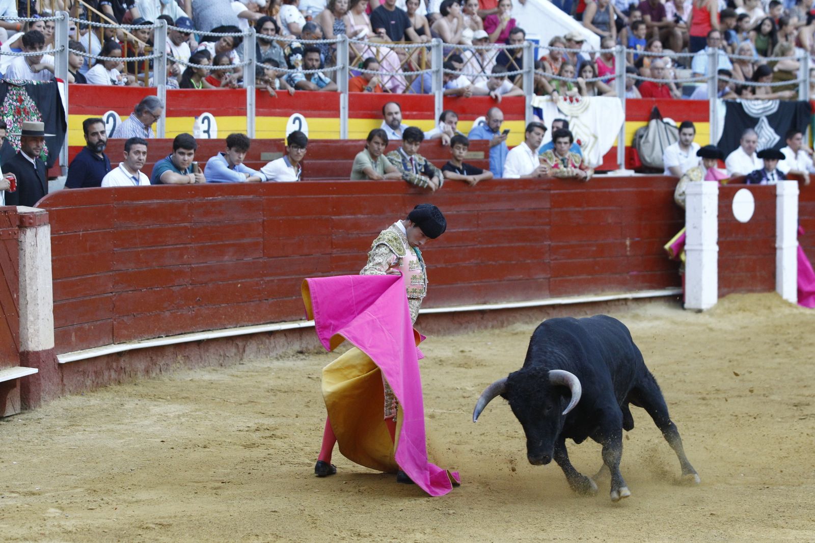 Imágenes de la novillada organizada por la Escuela Taurina de Almería