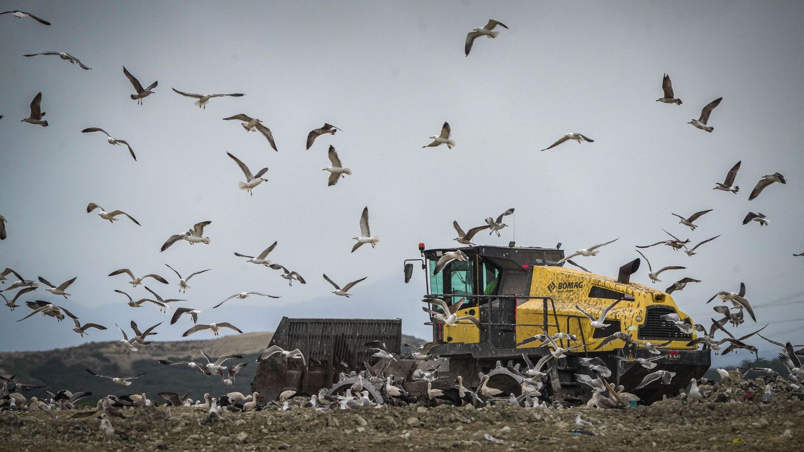 Planta de reciclaje de Las Calandrias, este miércoles, tras encontrarse el cadáver.