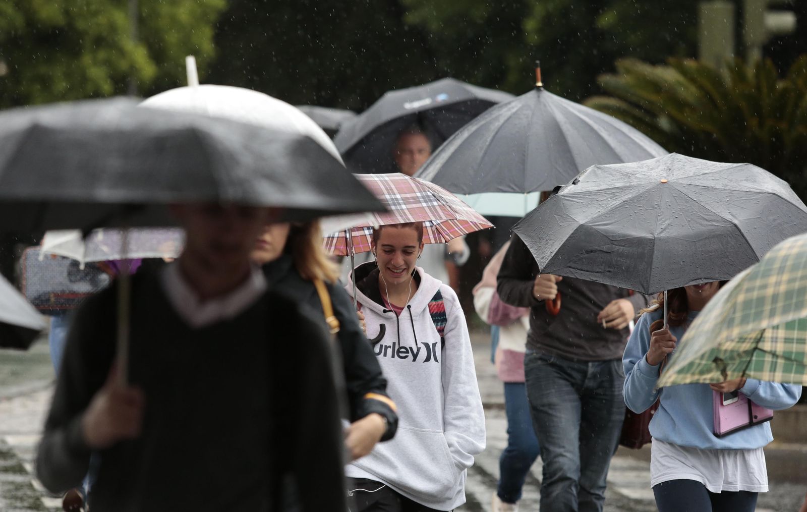 Viandantes con paraguas para protegerse de la lluvia en Sevilla.