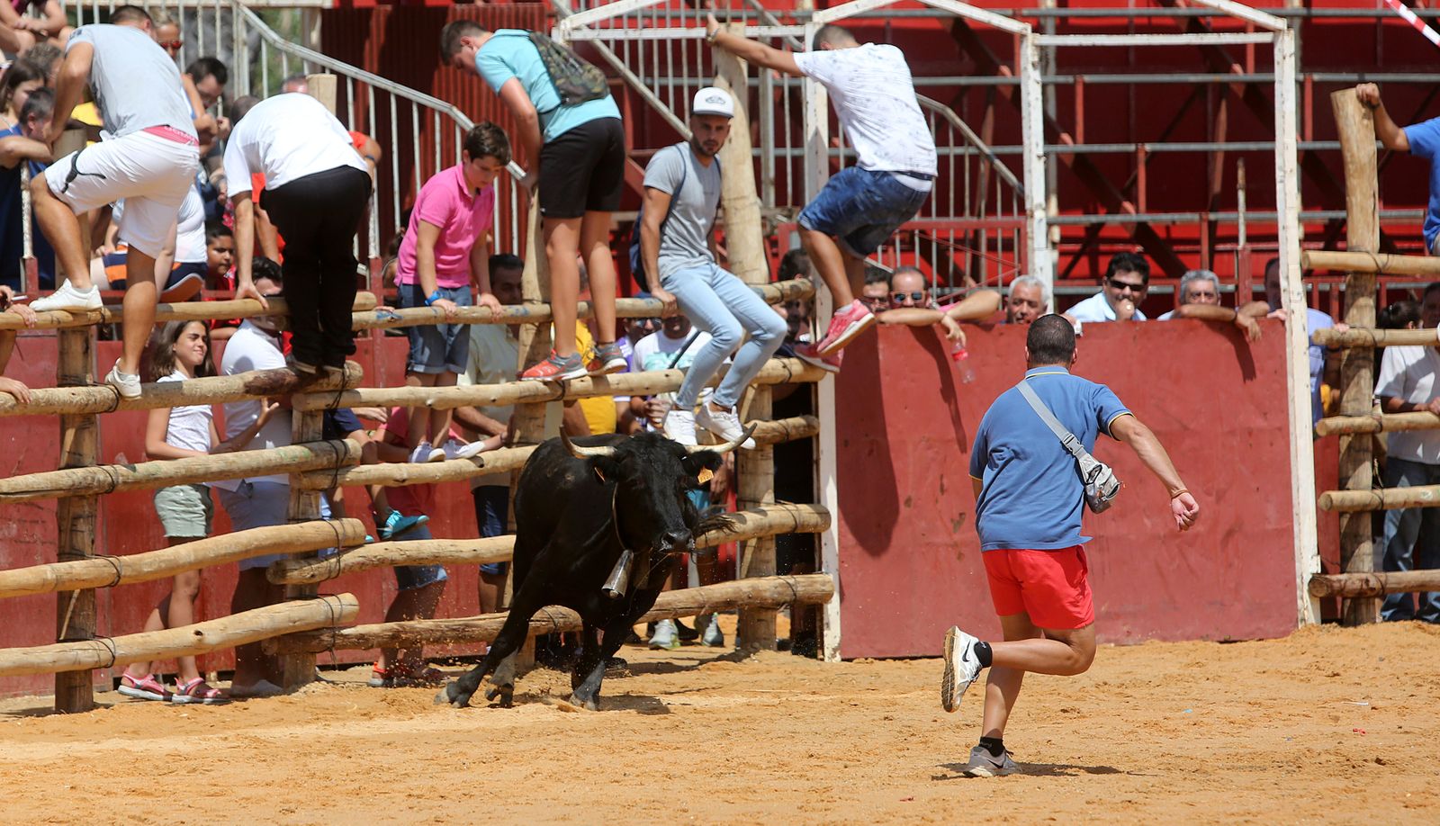 Capeas de Trigueros en imágenes