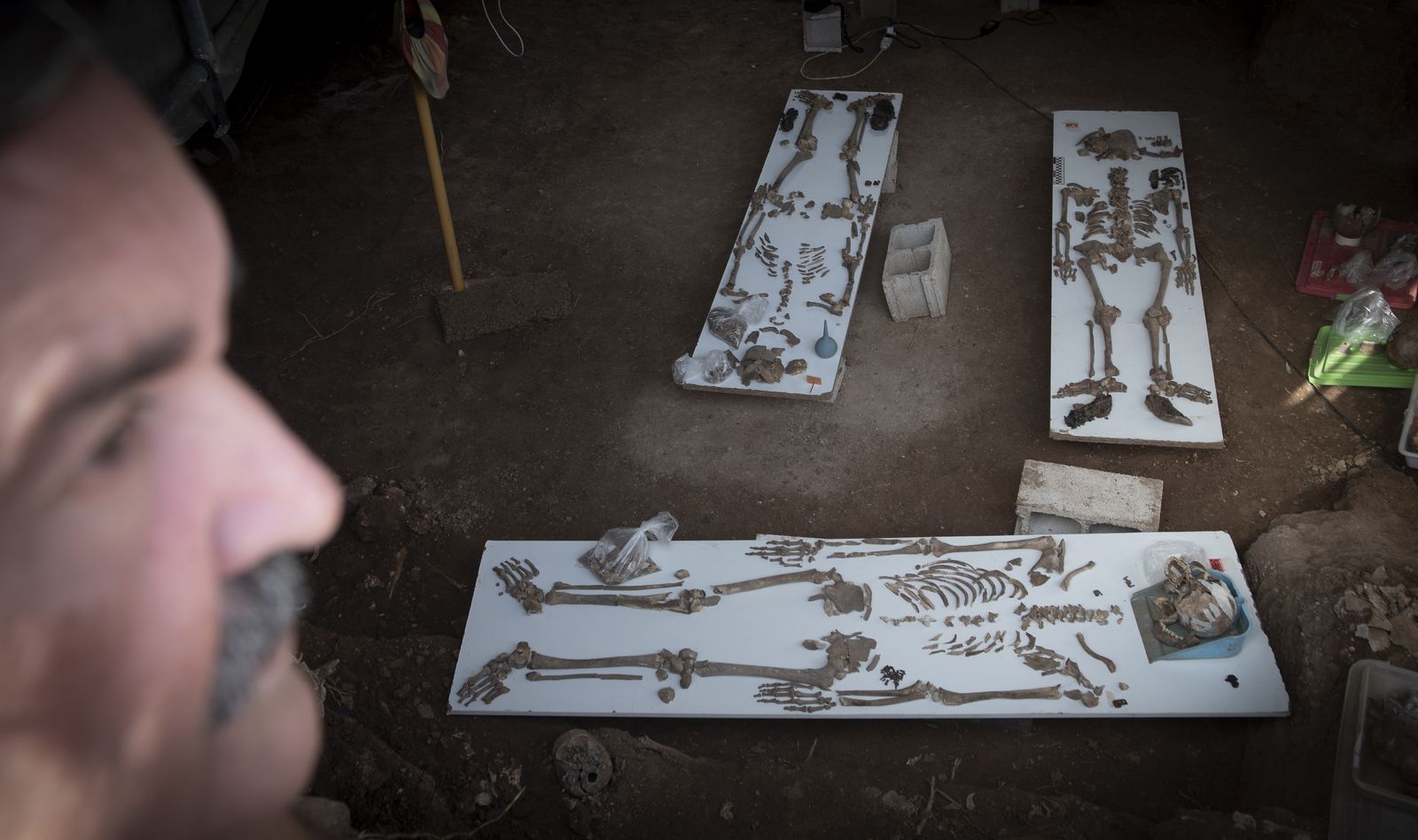 Imágenes de la fosa común de Pico Reja, en el cementerio de San Fernando