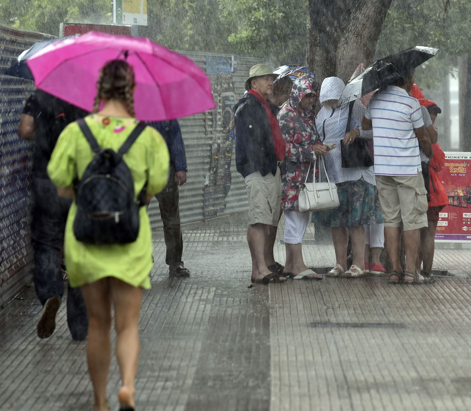 Varias personas se protegen de la lluvia en Sevilla.
