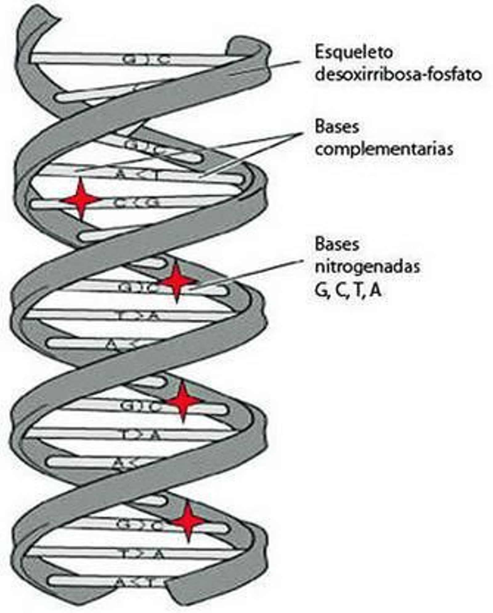 De excepción en excepción: la lección de la Biología