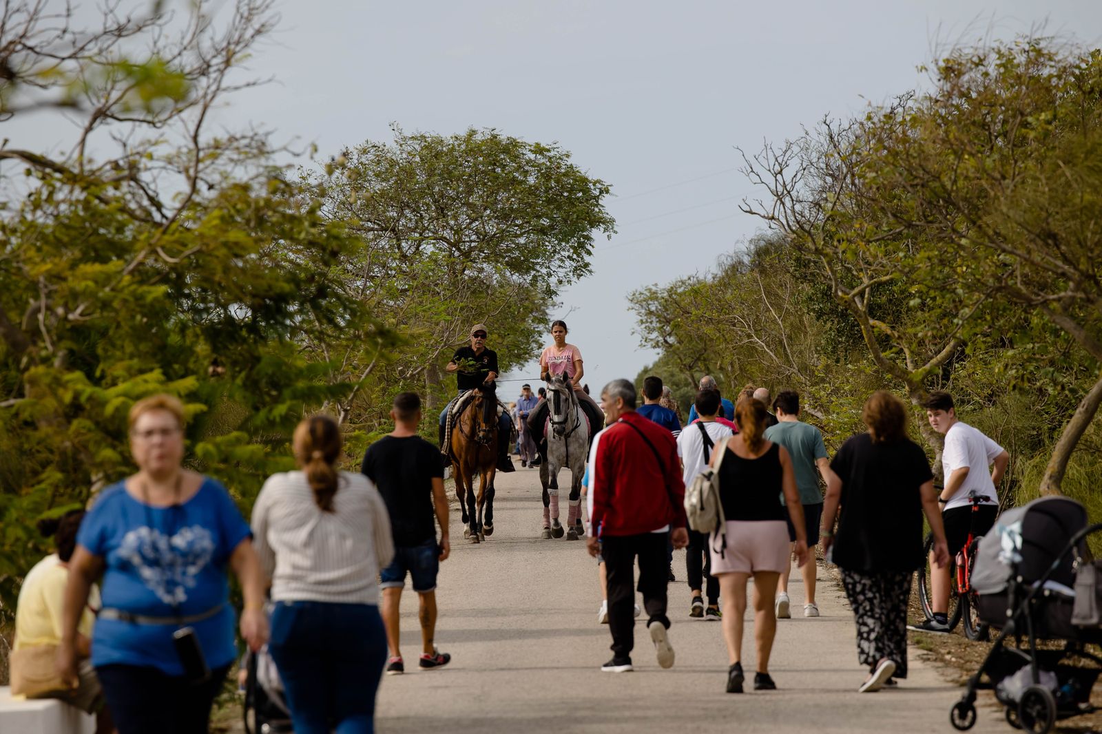 Las imágenes de la Romería del Cerro