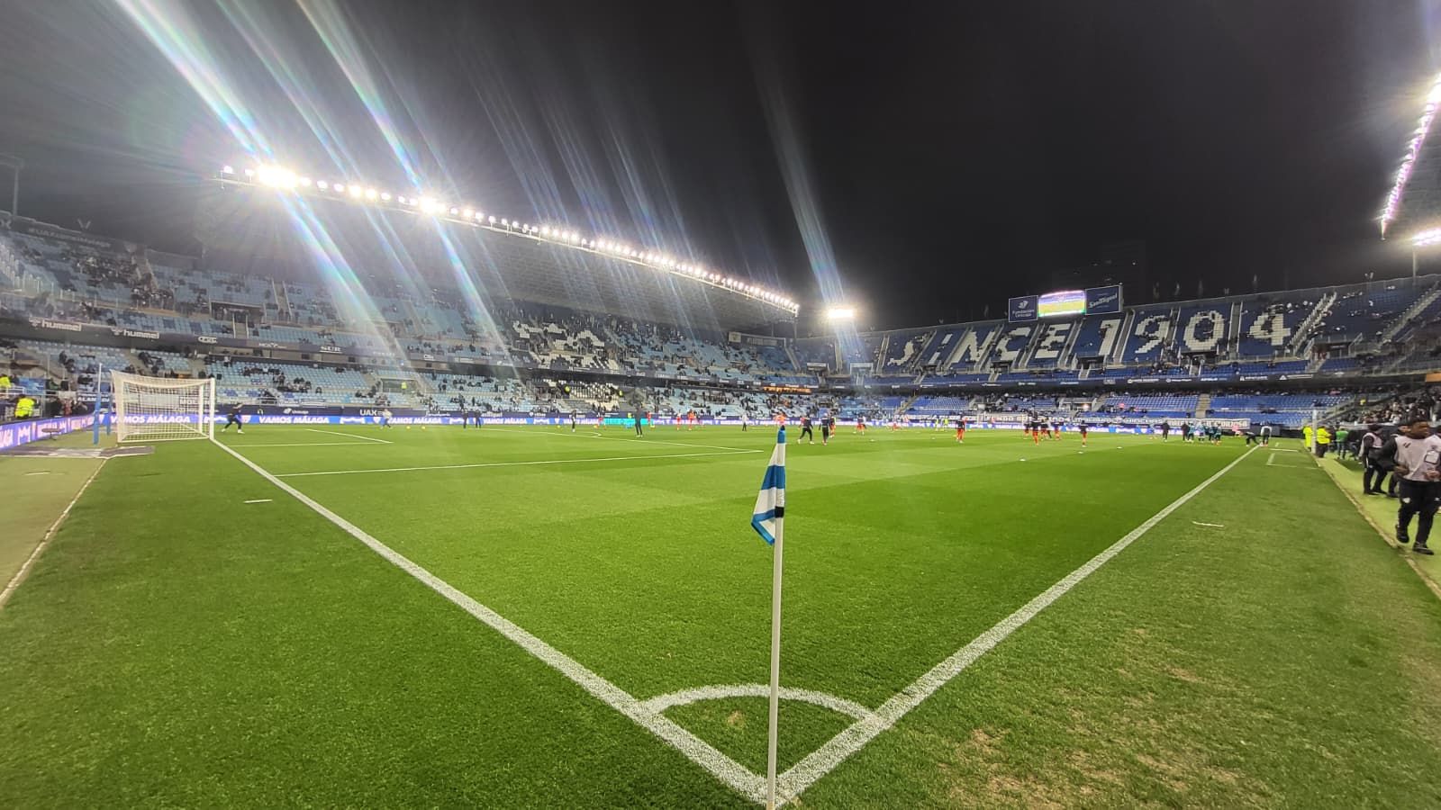 Vista de La Rosaleda.
