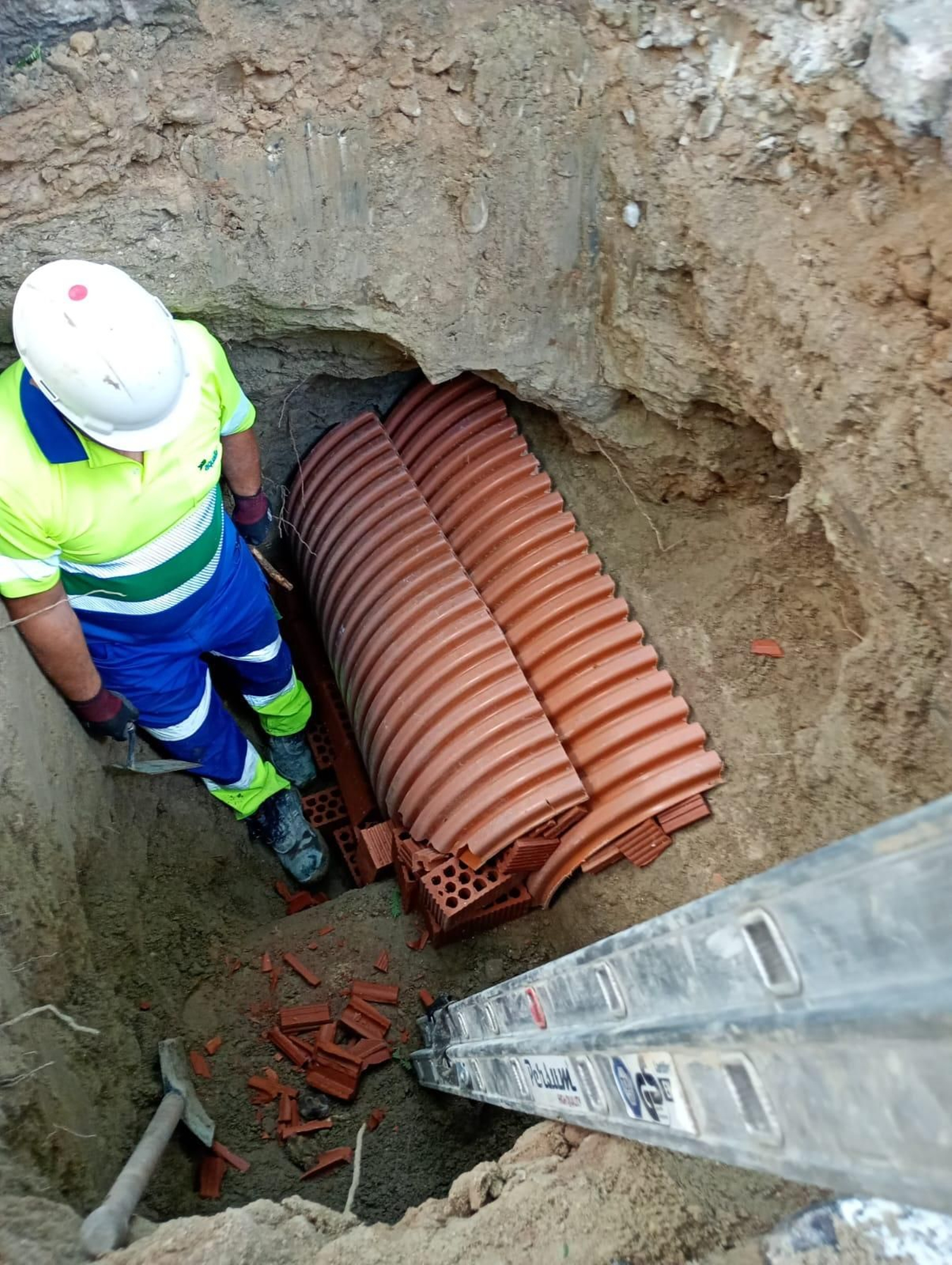 En las tripas de la calle Porvera de Jerez