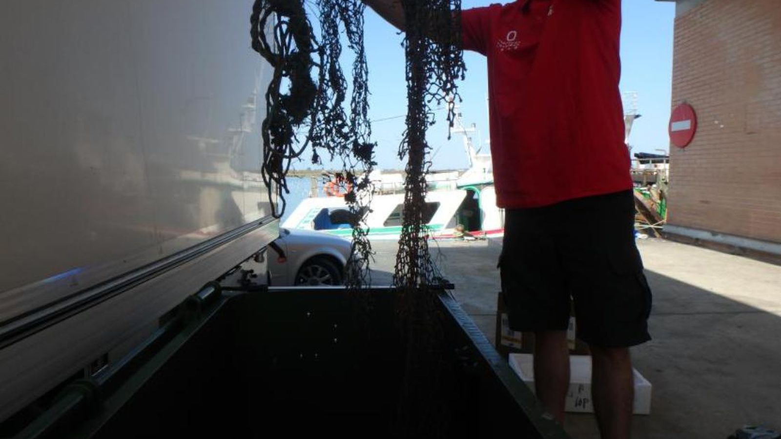 Un técnico del proyecto con residuos marinos traídos al puerto de Isla.