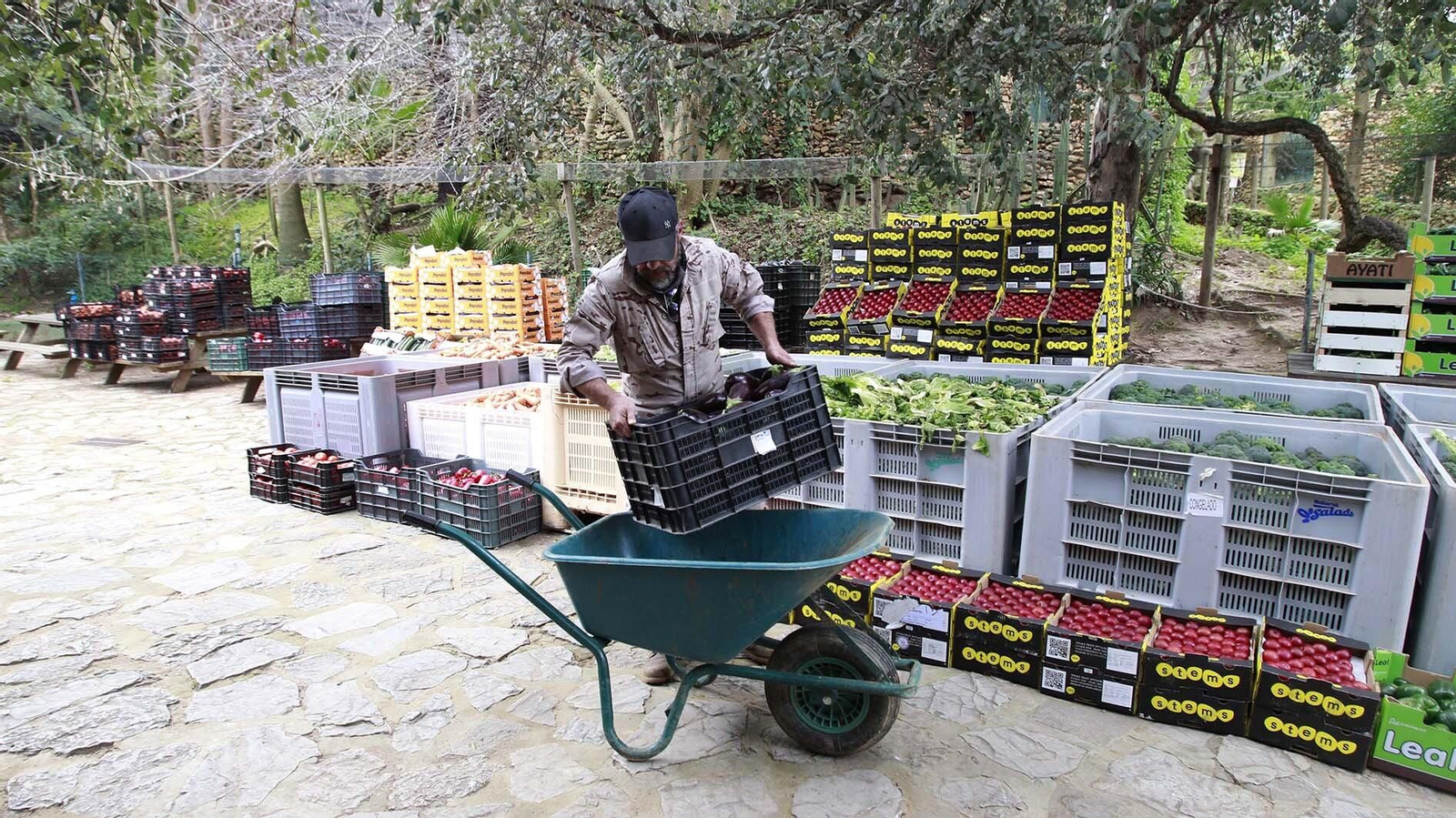 Las fotos del Zoo de Castellar de la Frontera