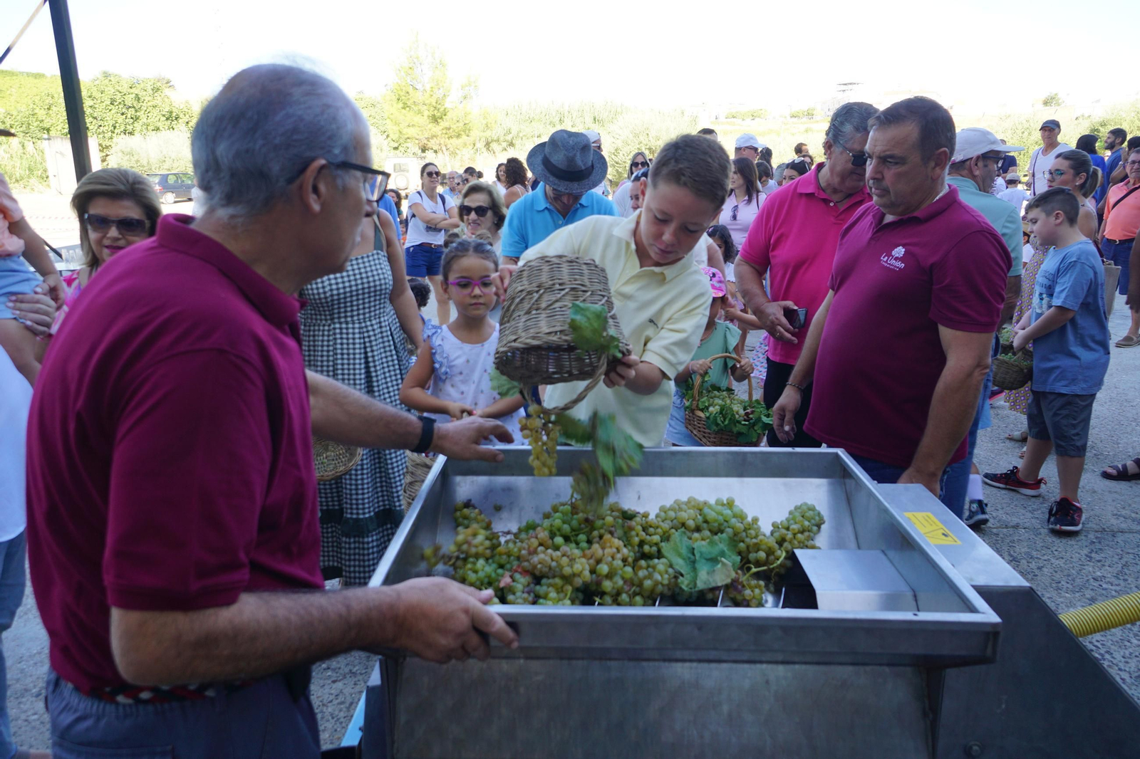 Vendimia infantil de Montilla