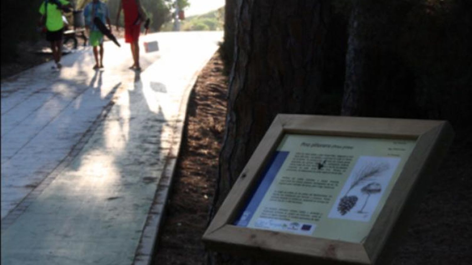 Sendero del Caño de la Culata en Nuevo Portil Sendero del Caño de la Culata en Nuevo Portil
