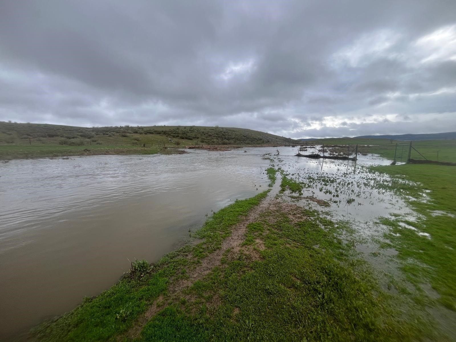 Daños en una explotación en Almodóvar del Río (Córdoba)