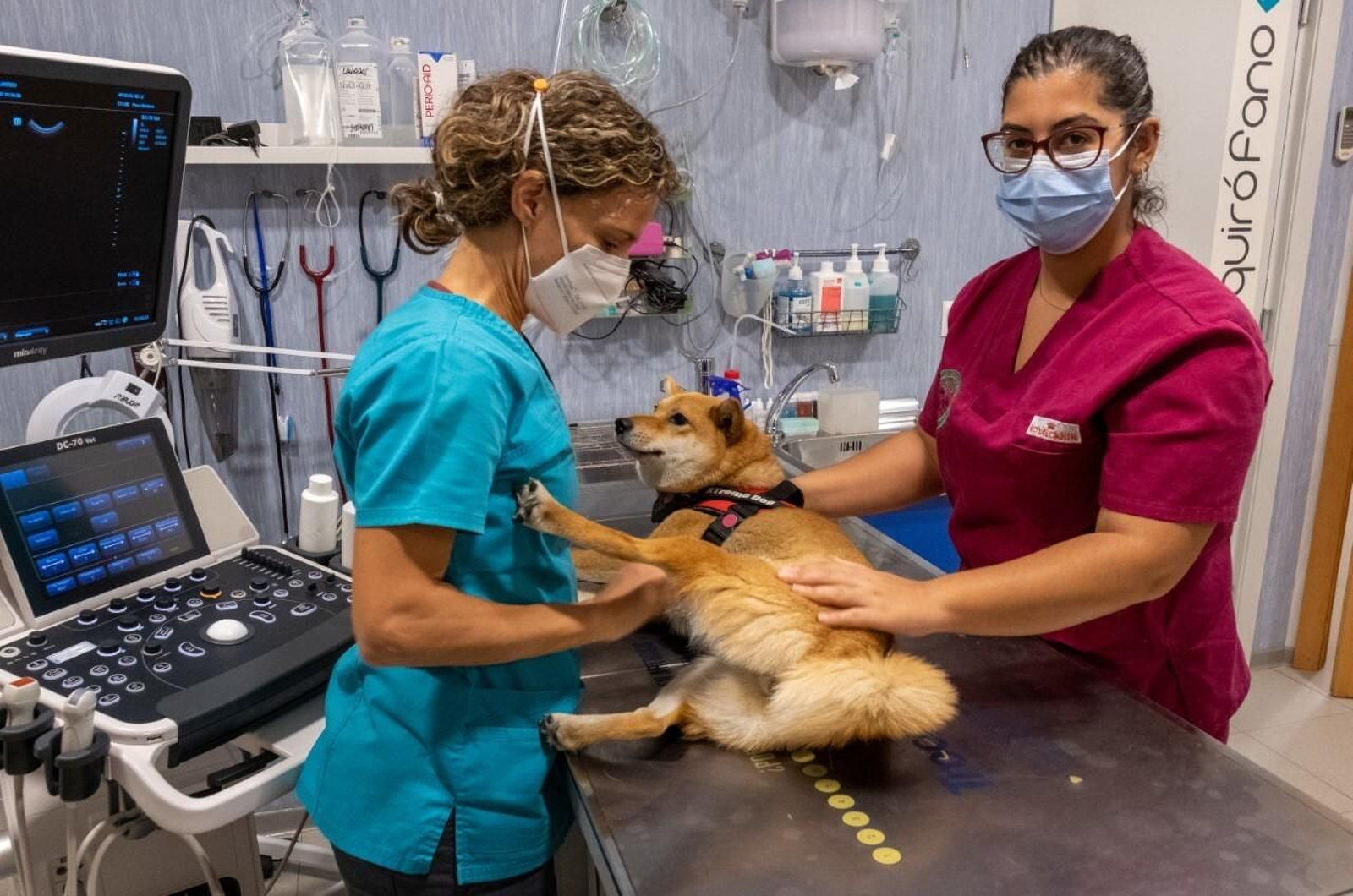 Uno de las iniciativas beneficiadas la pasada edición con este Plan HEBE.