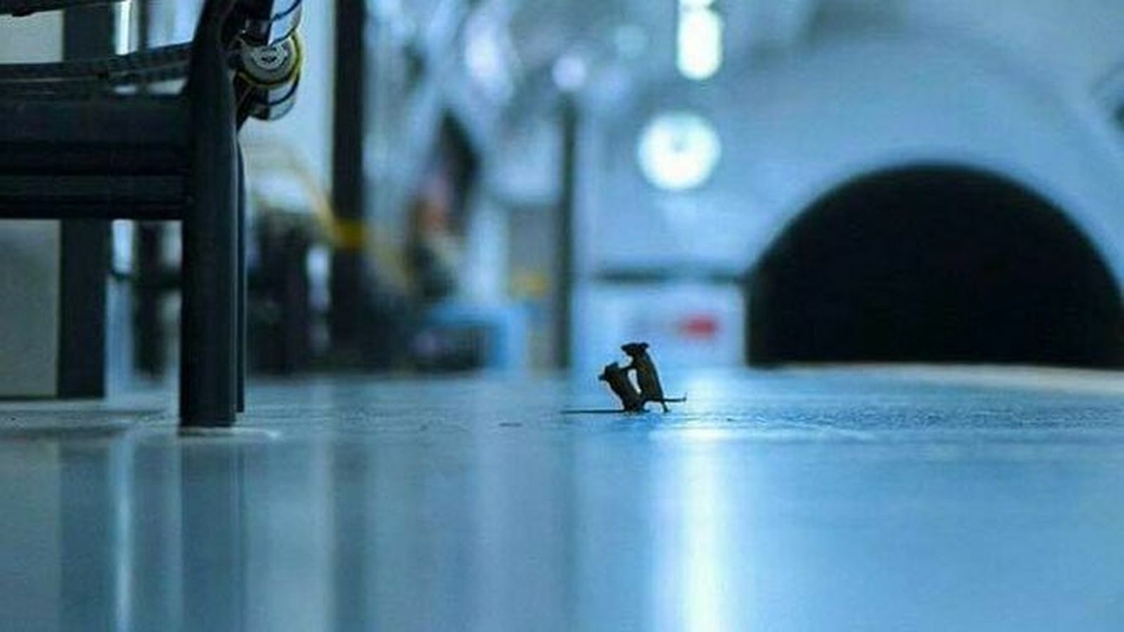 La fotografía de la lucha de ratones