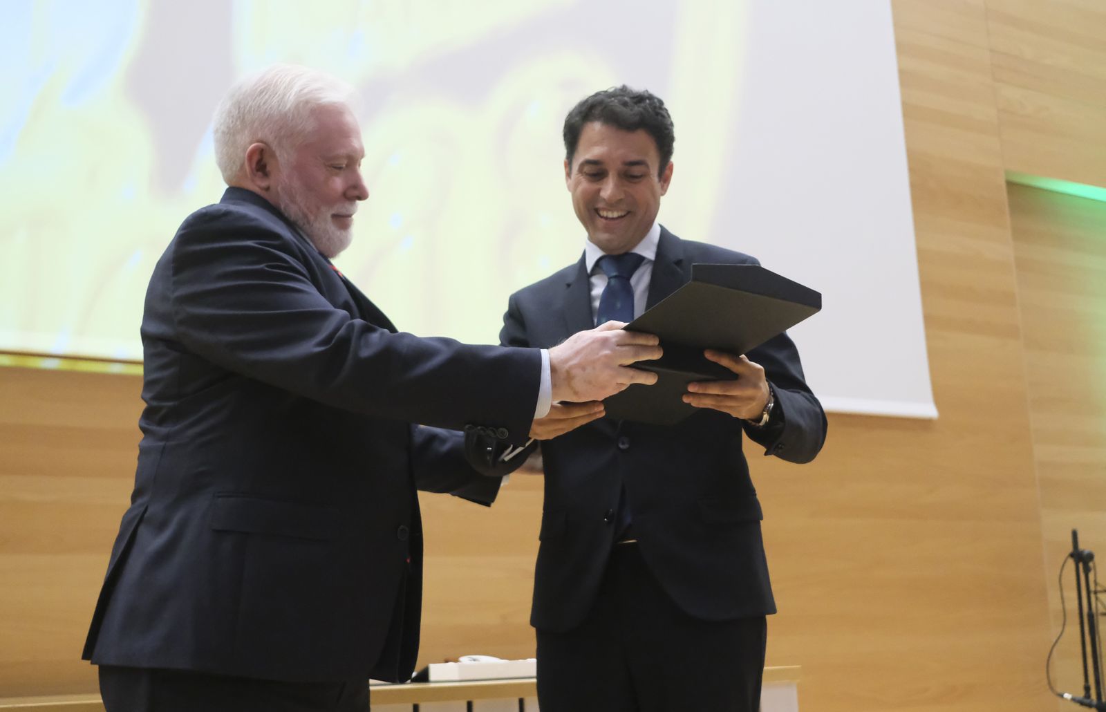 La entrega de medallas extraordinarias de las Peñas de Córdoba, en fotografías